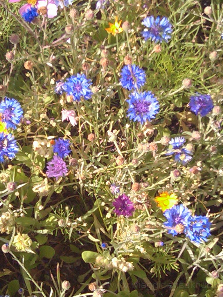 2012-08-04 14.07.35.jpg